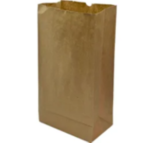 Bag 6.46x4.13x12.99 in paper #10 kraft
