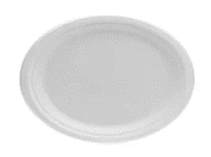 Plate 10.25 in pulp fiber white round