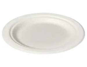 Plate 6 in pulp fiber white round