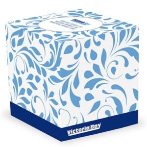 Premium 2 Ply White Facial Tissue Cube Box