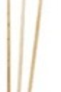 Food skewer 8 in bamboo round natural